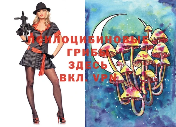 винт Баксан