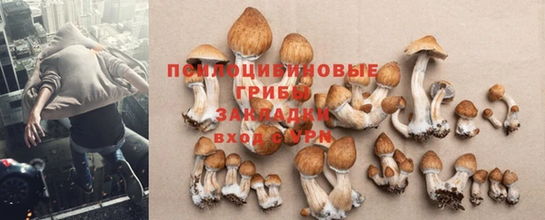 винт Баксан