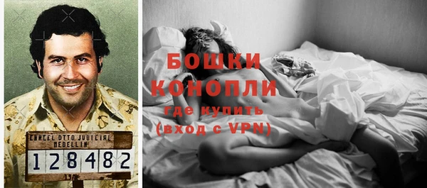 ПСИЛОЦИБИНОВЫЕ ГРИБЫ Медвежьегорск