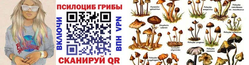 купить наркоту  Ленинградская  Псилоцибиновые грибы прущие грибы 